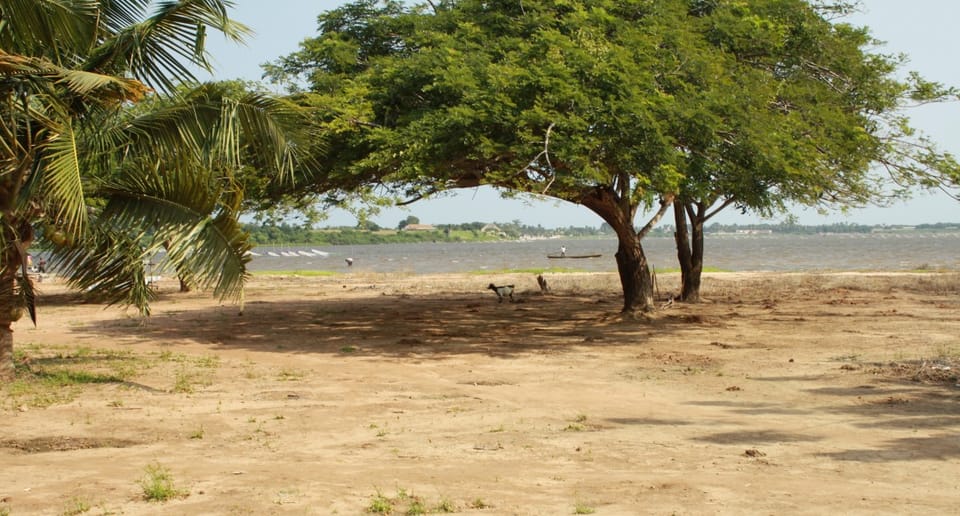 Arbre de Togoville